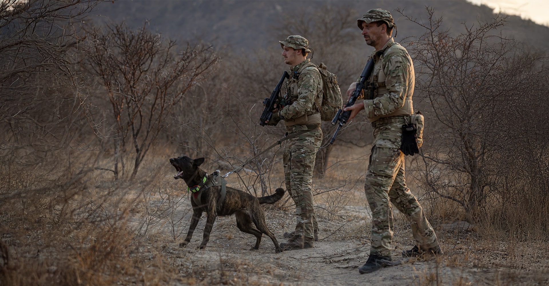 A K9 dog on a leash barking at a target, with its handler by its side and another operator standing nearby.