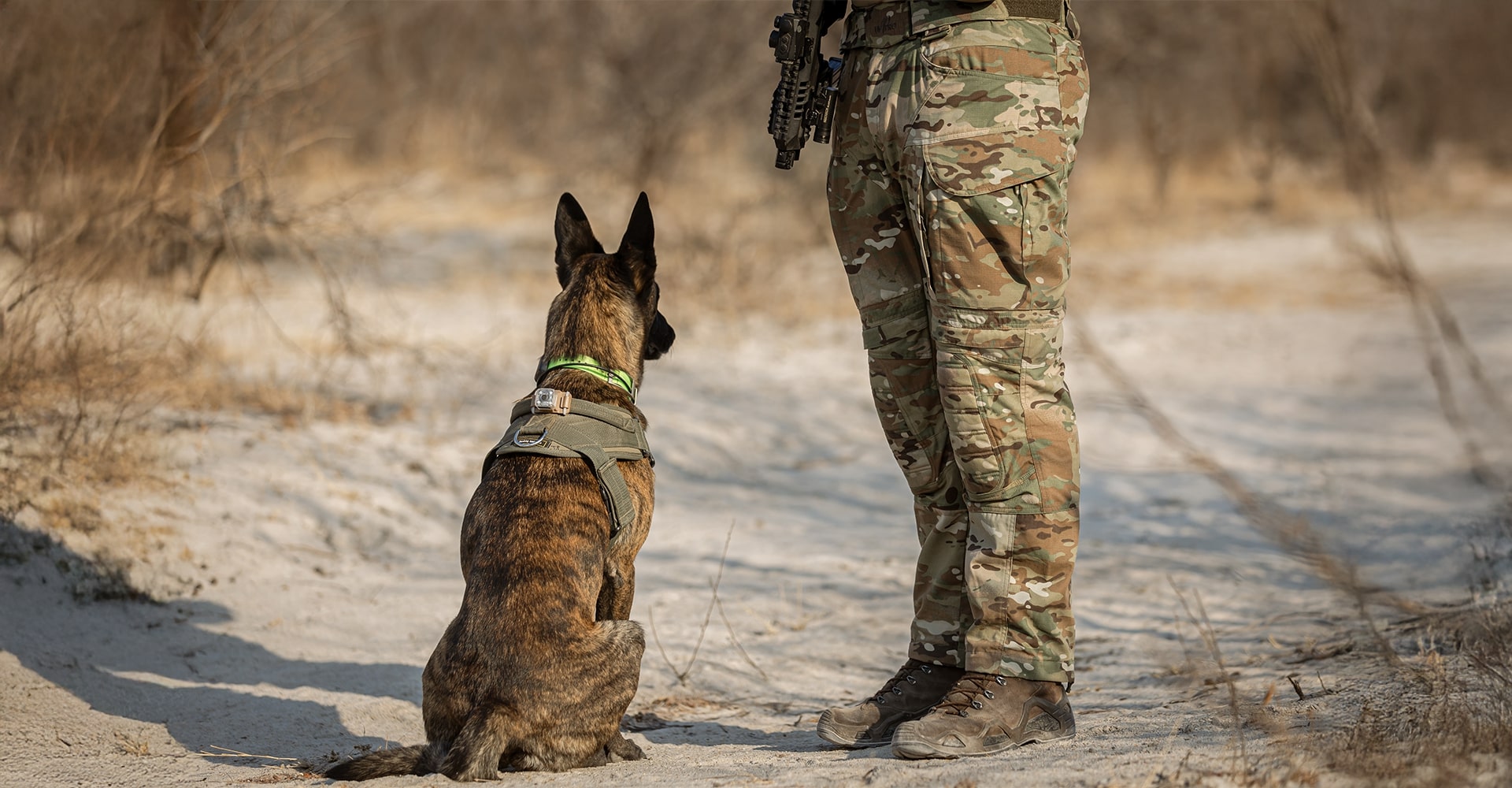 Ein Tag im Leben eines K9-Hundeführers – Pro's Storytime | UF PRO Blog