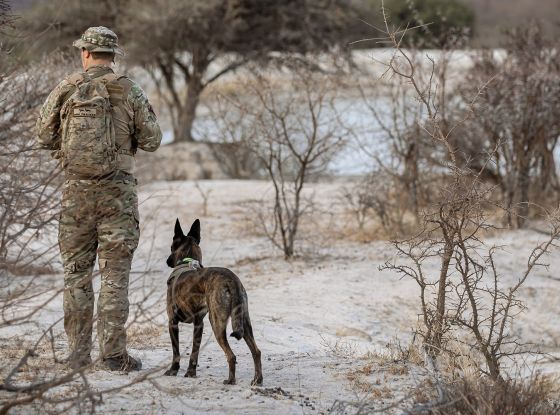 K9 Dogs and Park Rangers: The Ultimate Duo in Tactical Tracking