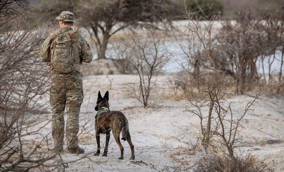 K9 Dogs and Park Rangers: The Ultimate Duo in Tactical Tracking