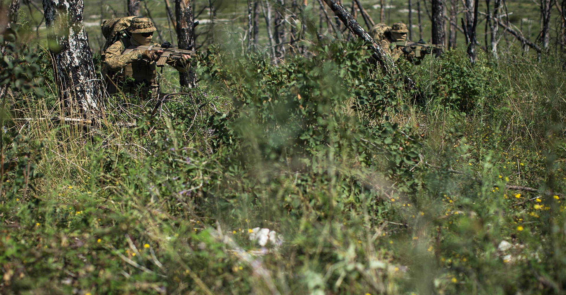 Two operators concealed in dense, thorny undergrowth within a forested area.