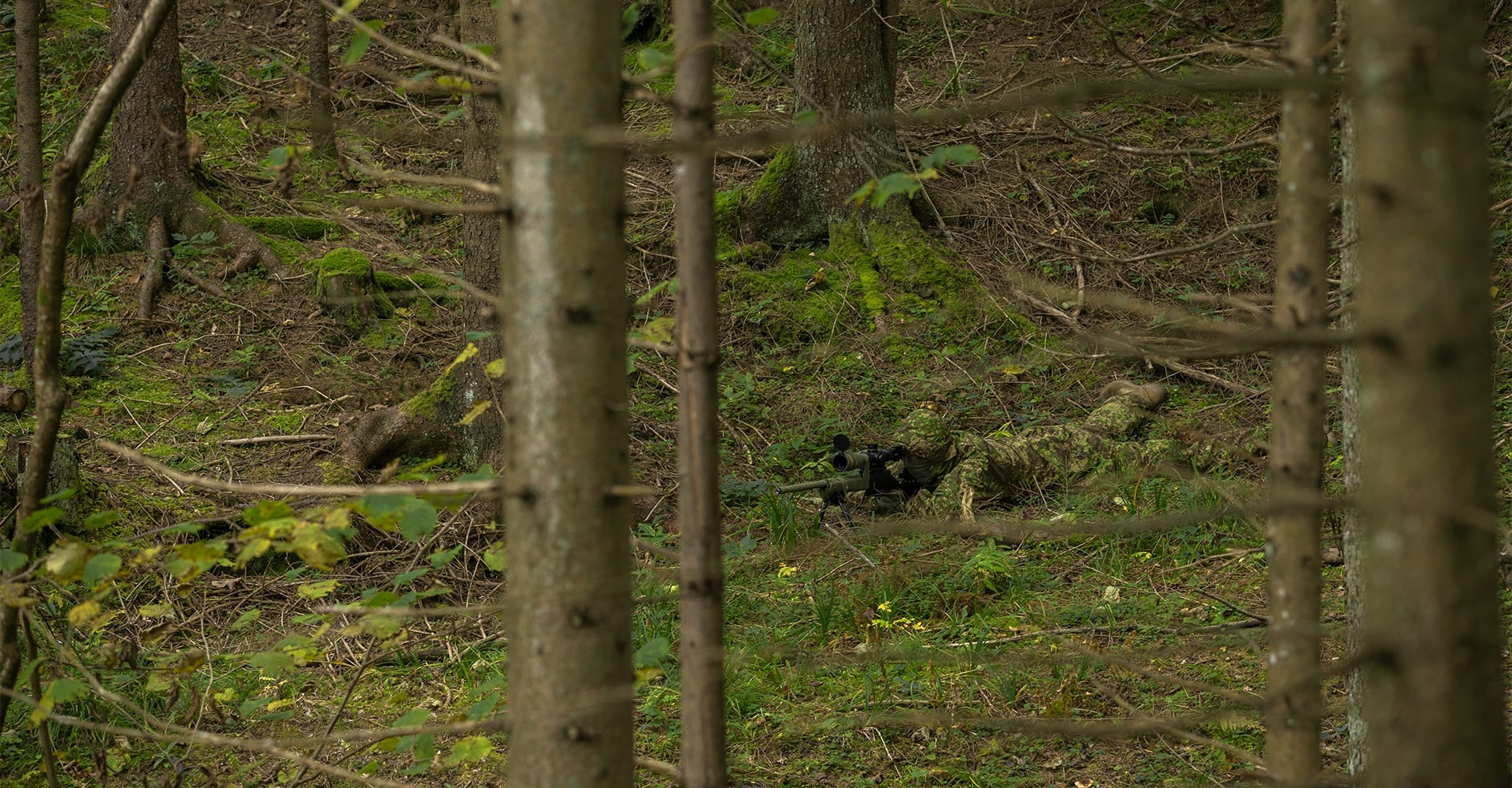 An operator lies in the grassy woodland, fully camouflaged, aiming his weapon at a target in the distance.