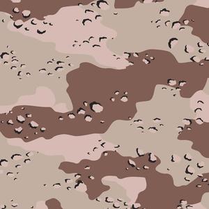 Chocolate chip camouflage pattern