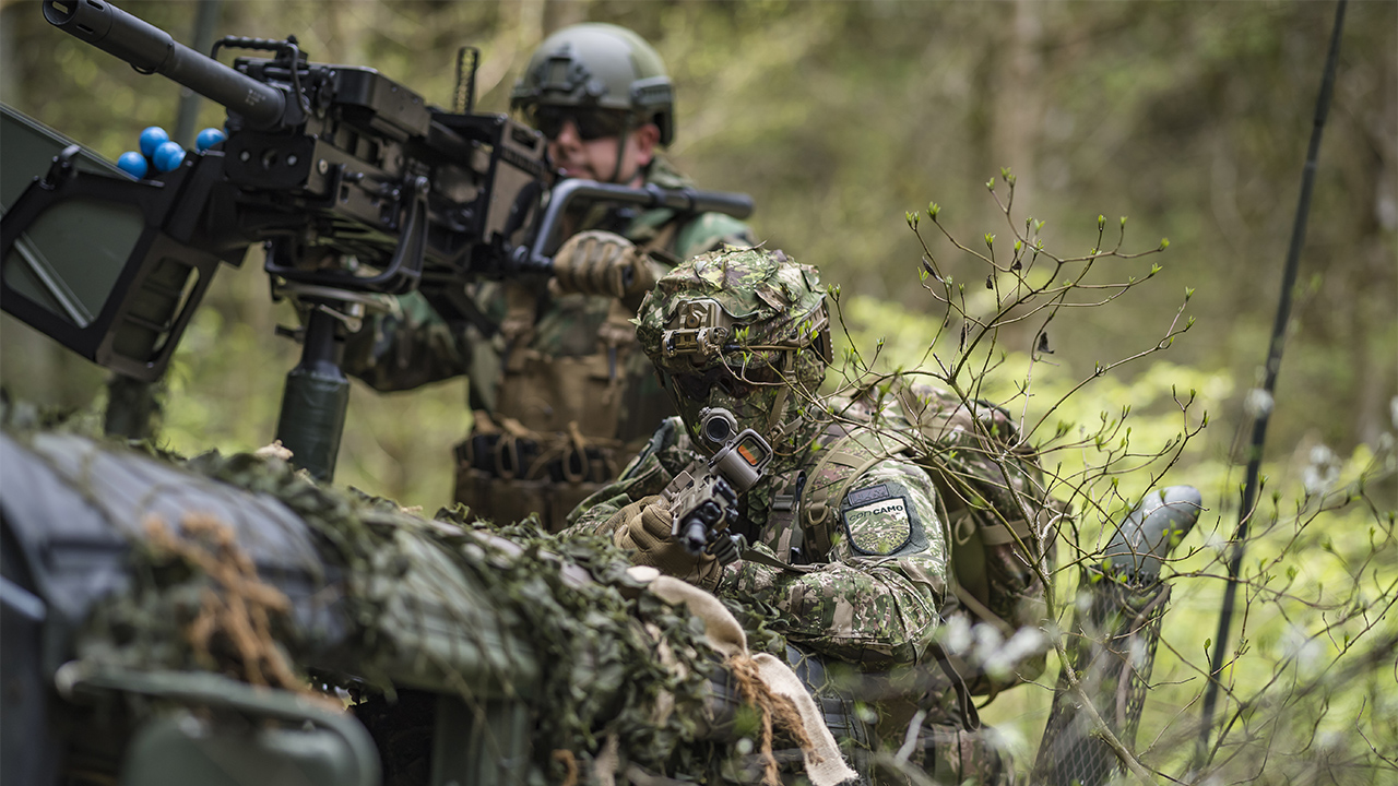 ACF Experts Explain The History Of Camouflage