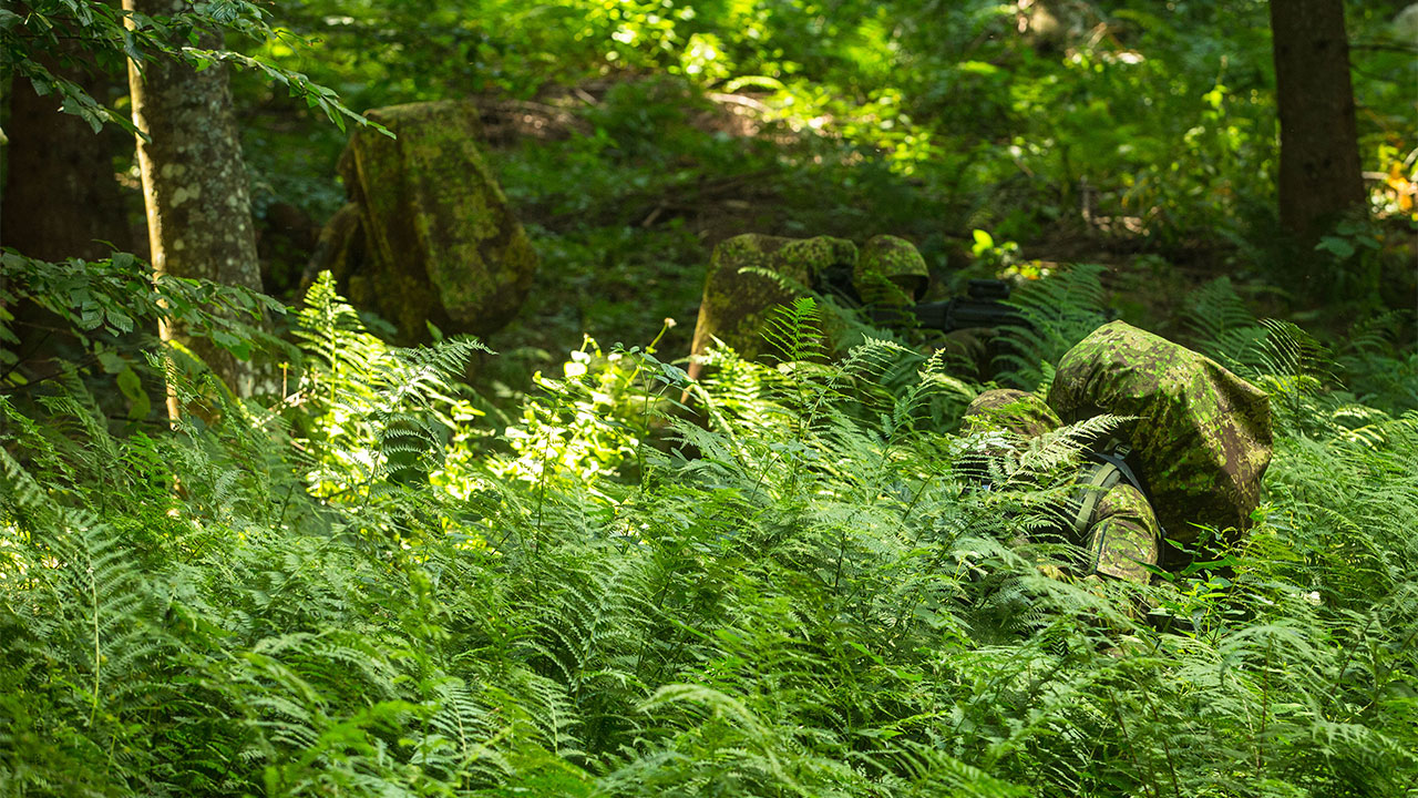 M81 Woodland, Camouflage Wiki