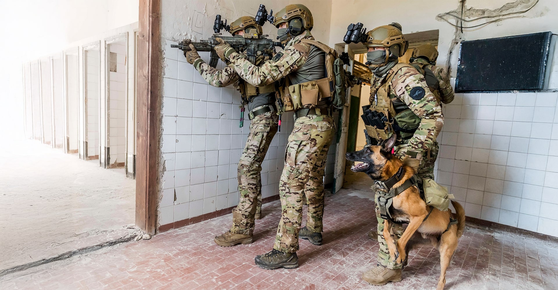 Operators inside a building taking cover behind a wall, with a K9 dog sensing something and indicating a direction.