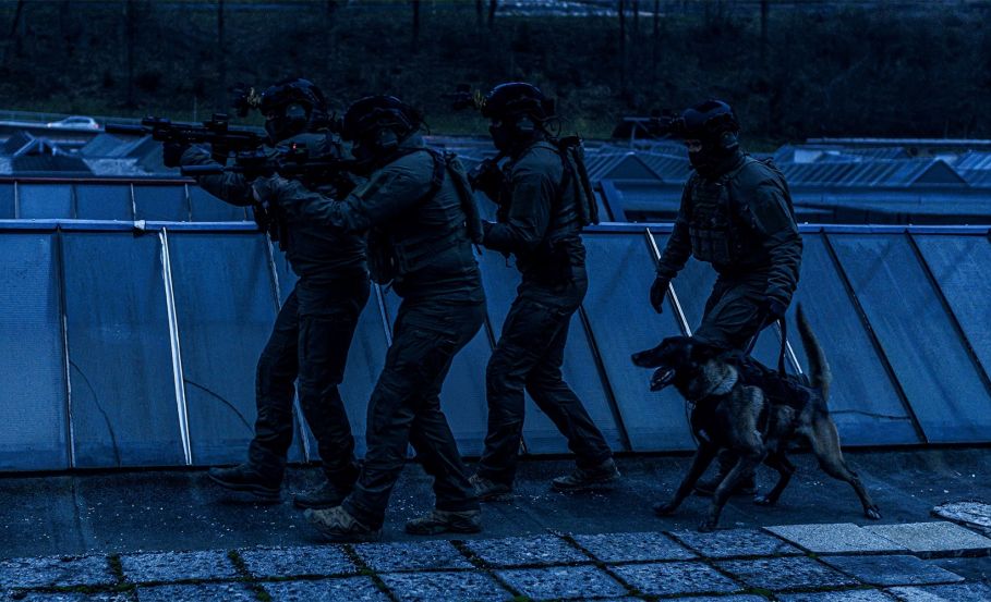 Operators with a K9 dog moving across a rooftop during a night operation. How K9 Dogs Outsense Us: Smell, Hearing, and Vision in Tactical Tracking Ops