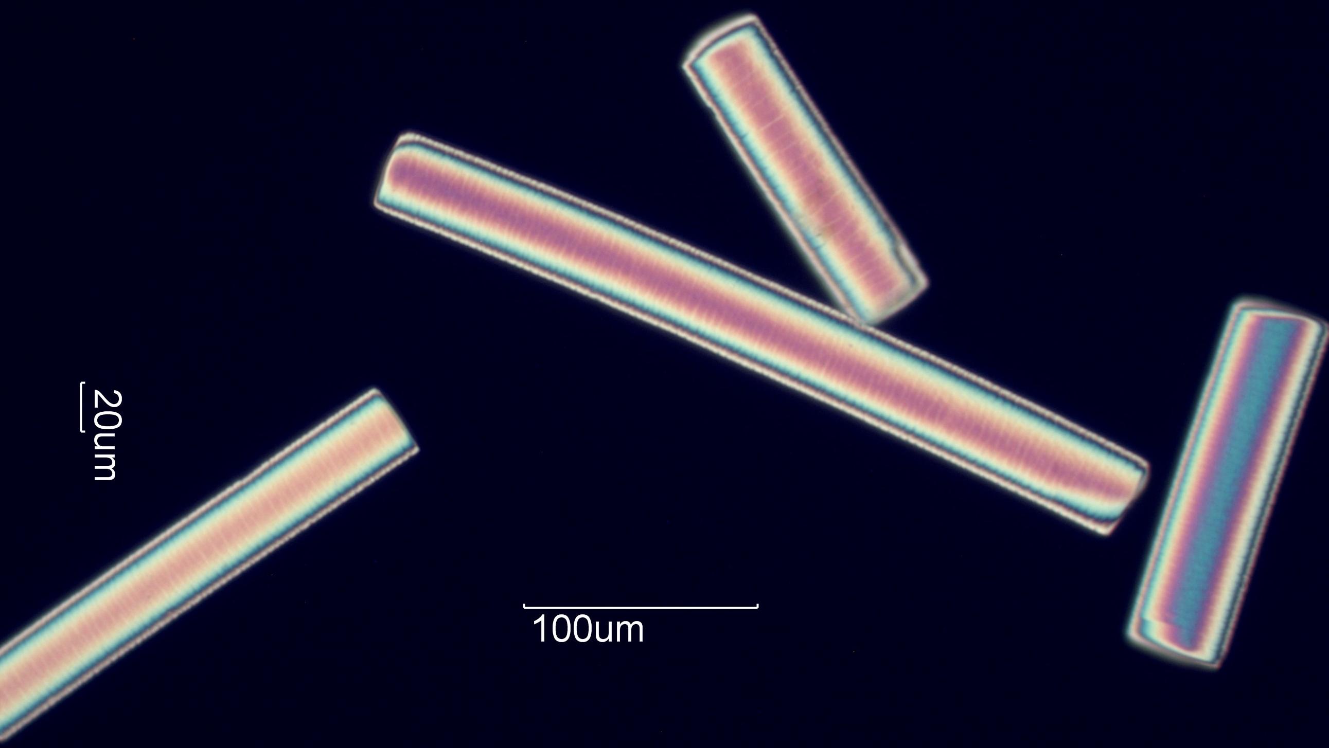 Nylon fibers under a microscope.