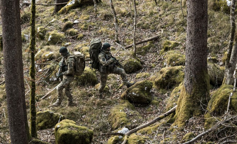 Hiding in plain sight: the science behind military camouflage
