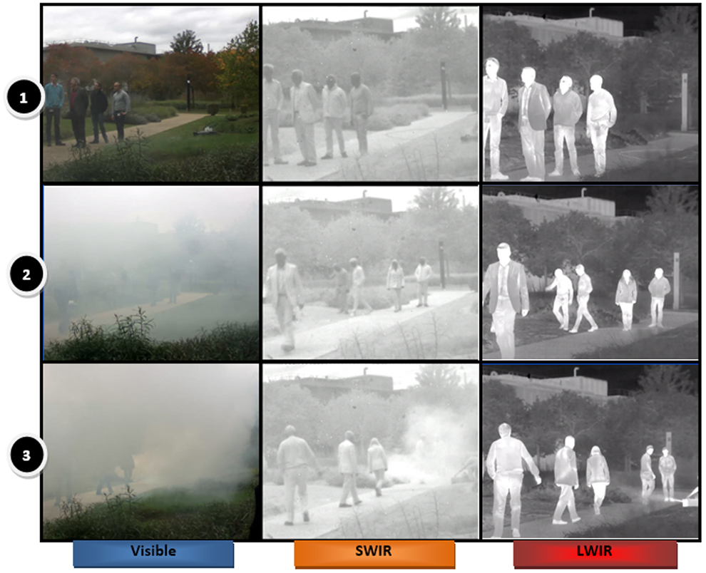 Camouflage and Night Vision: Expectations vs Reality - Pine Survey