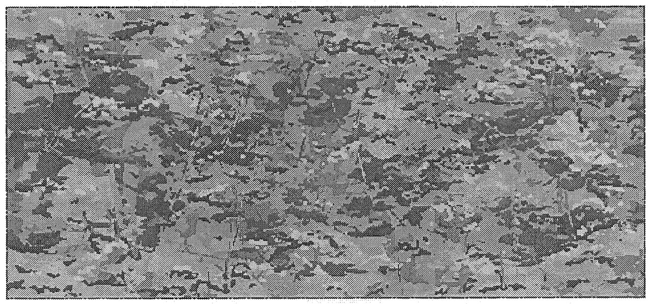 Grayscale view MultiCam