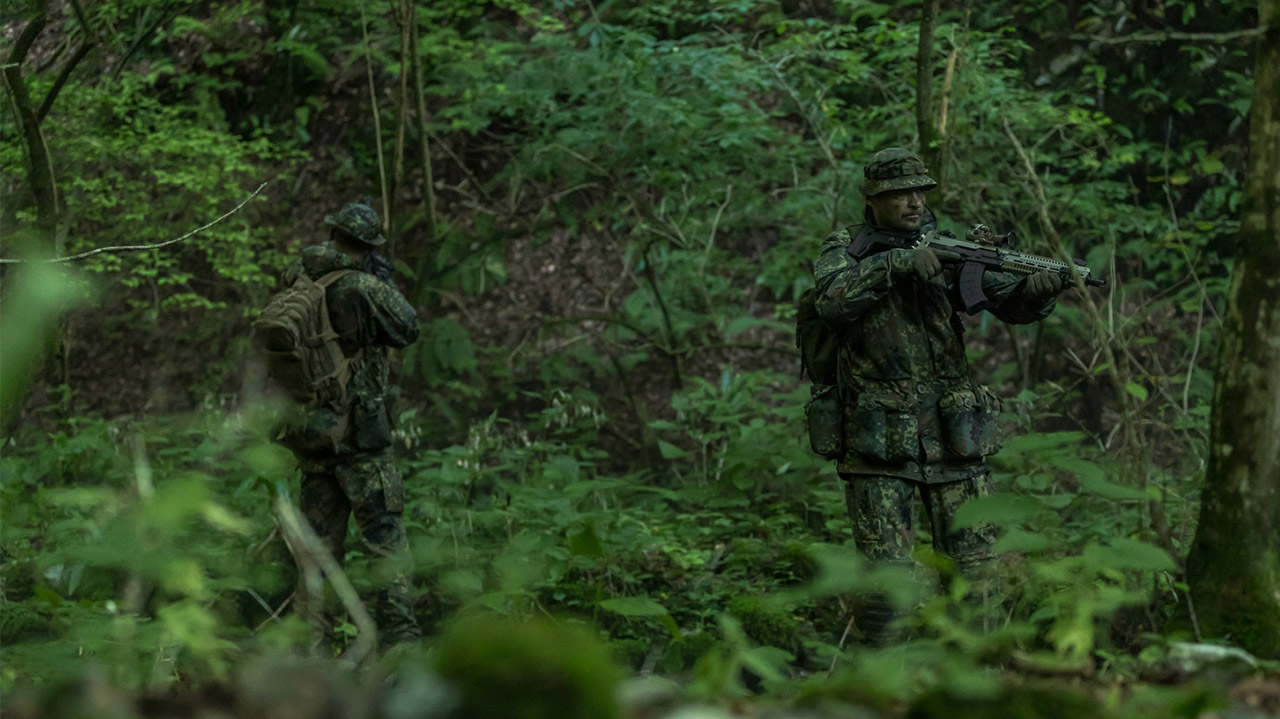 The modern German camouflage pattern 5FT Flecktarn.