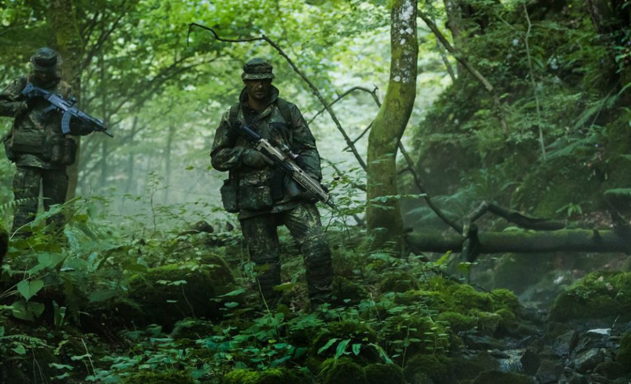 Flecktarn—die deutsche Art, Verstecken zu spielen Flecktarn—die deutsche Art, Verstecken zu spielen
