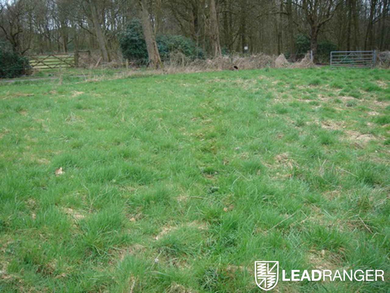 Tracking on wet grass results in a different track