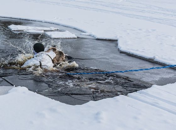 What to Do When Ice Breaks Beneath You