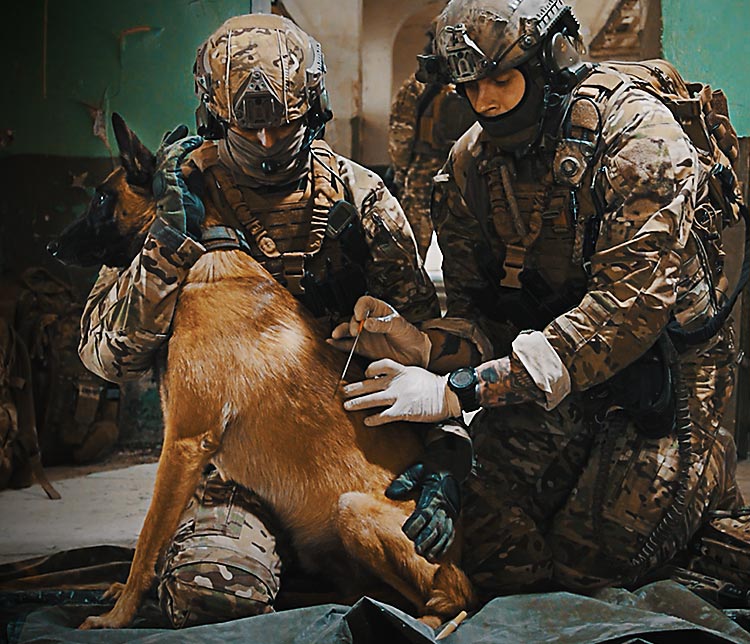 Pro’s Guide to K9 Combat Medic essentials | UF PRO