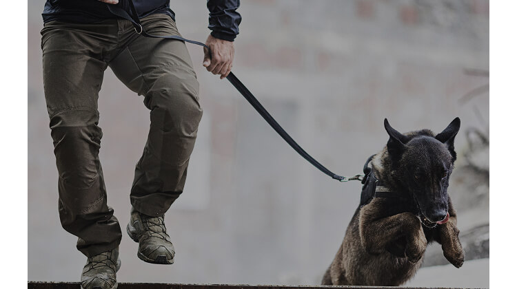 All-weather urban kit