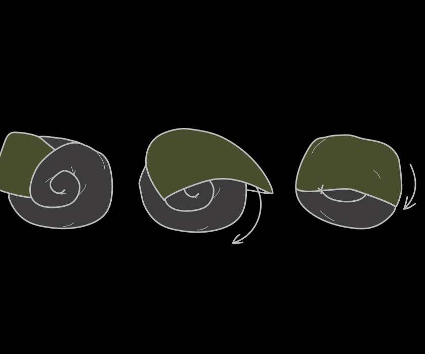 Pack a T-shirt using Ranger Roll technique.