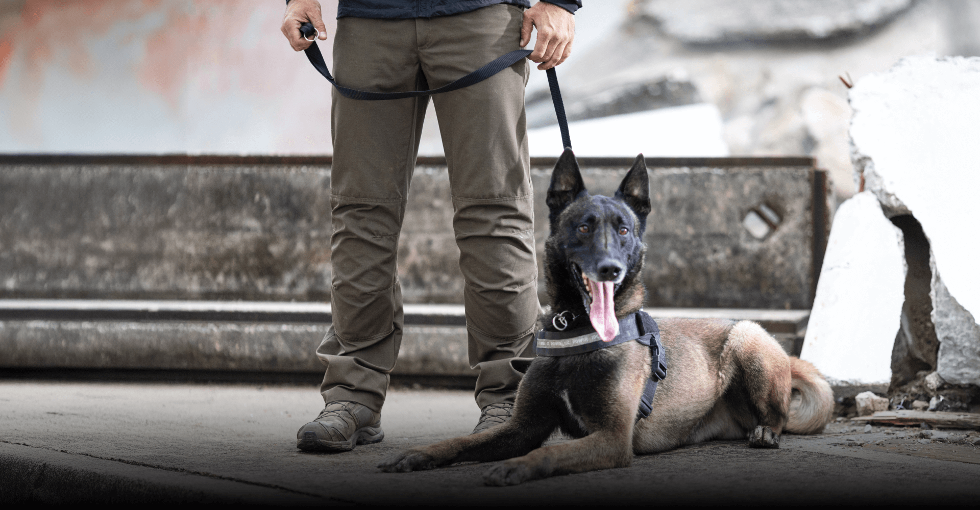 Vodnik in njegov pes reševalec iz ruševin. 