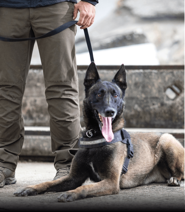 Vodnik in njegov pes reševalec iz ruševin. 