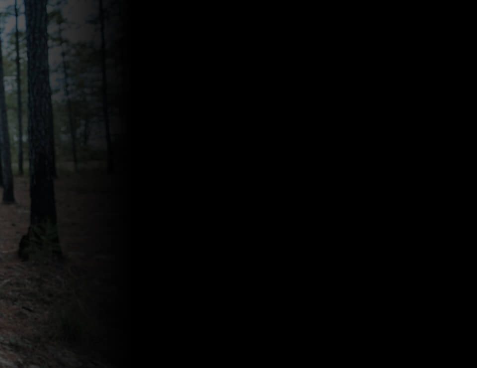 Meet Your Instructor: Kevin Estela