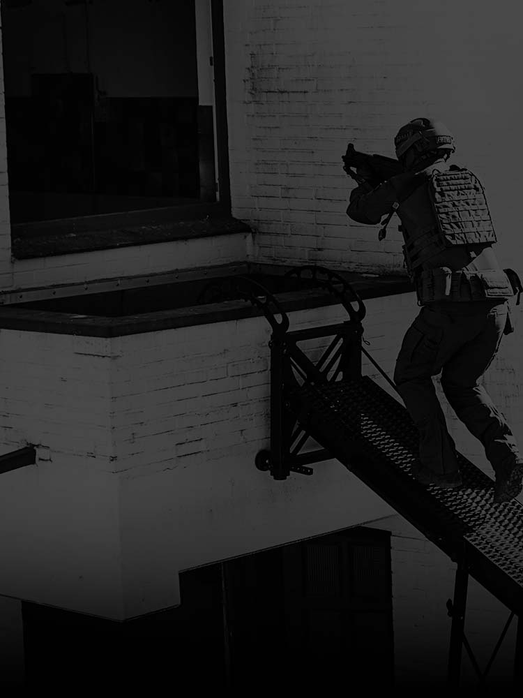 Reality Check | Dynamic Entry | UF PRO